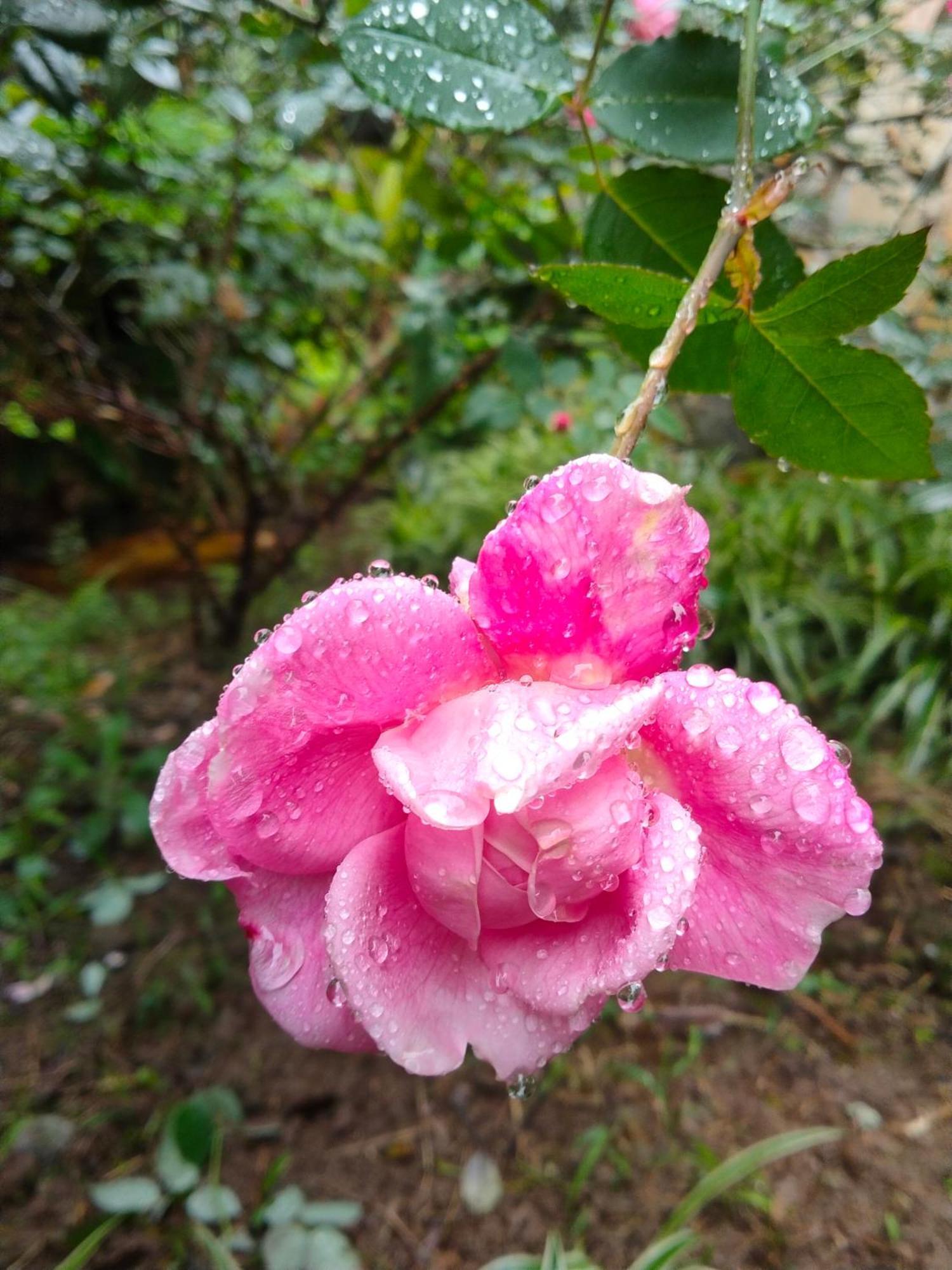 Hang Mua Eco Garden Xuan Son 外观 照片