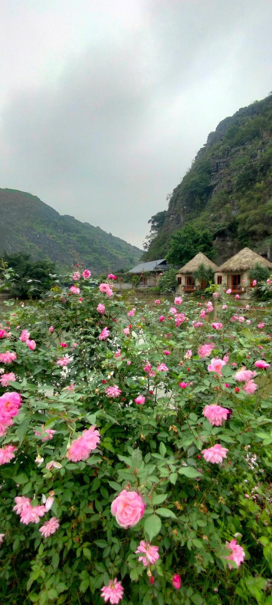 Hang Mua Eco Garden Xuan Son 外观 照片