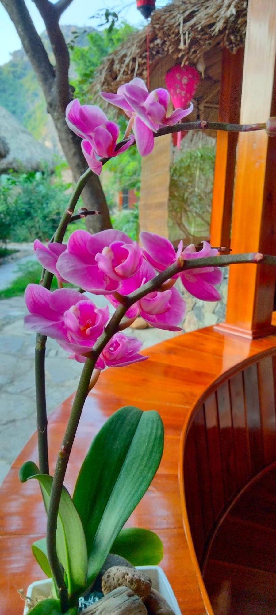 Hang Mua Eco Garden Xuan Son 外观 照片