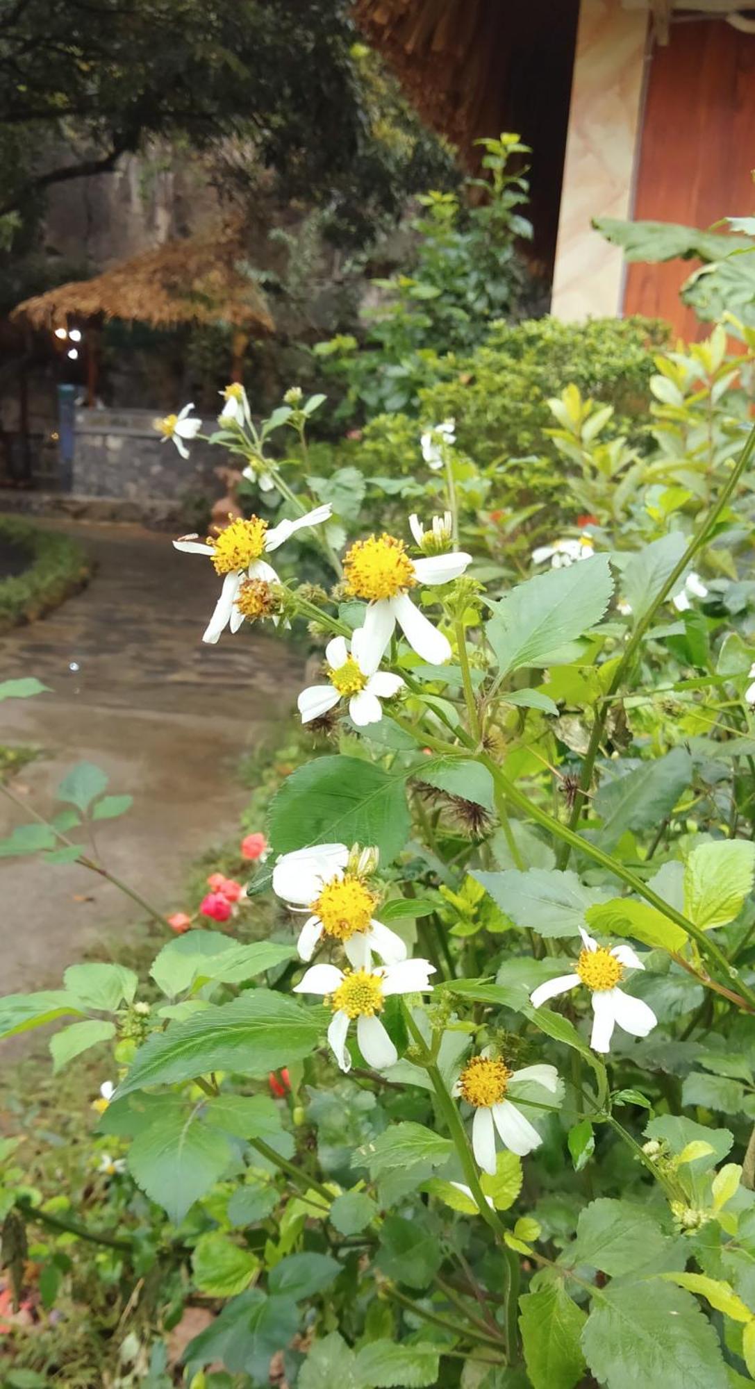 Hang Mua Eco Garden Xuan Son 外观 照片