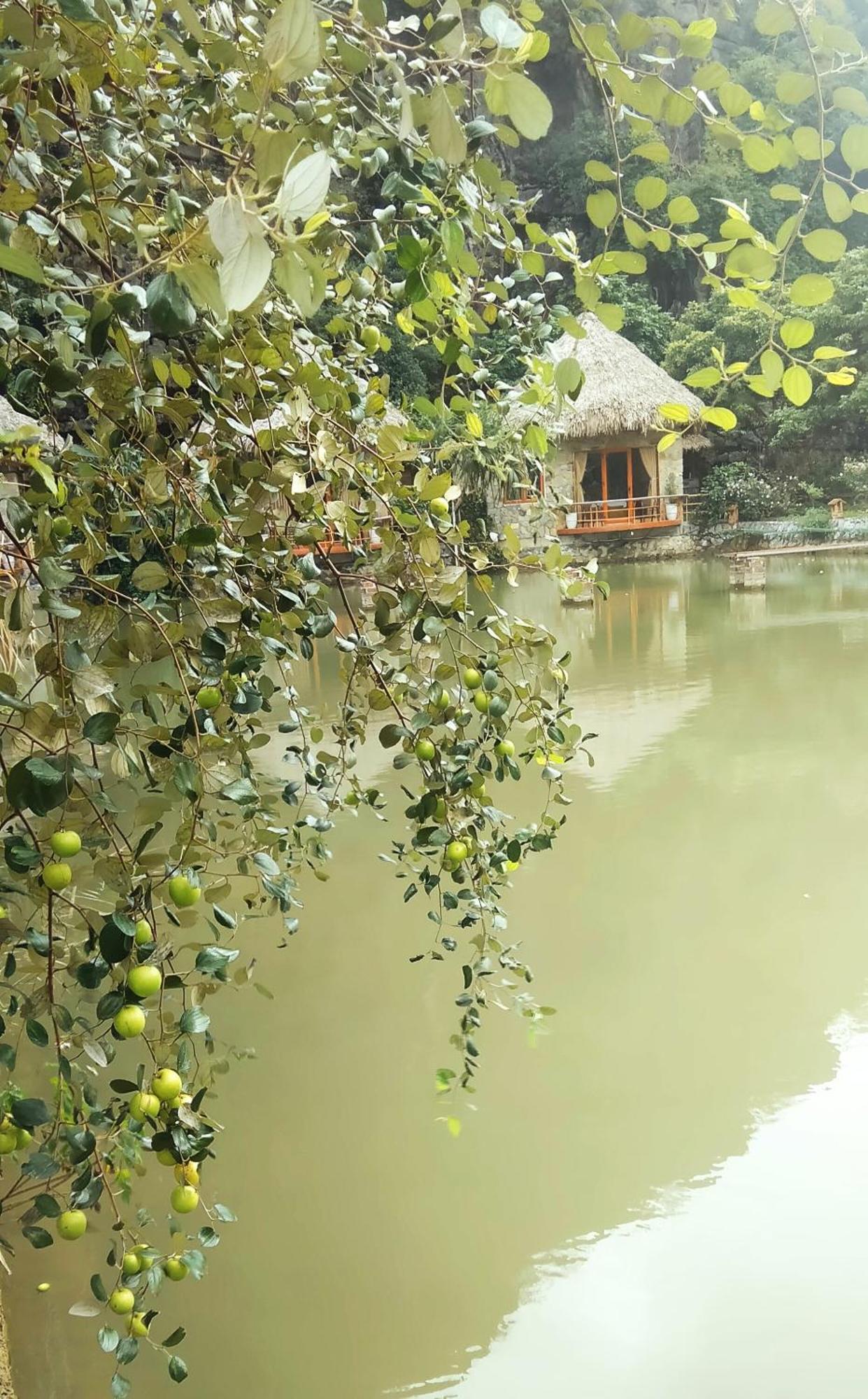 Hang Mua Eco Garden Xuan Son 外观 照片