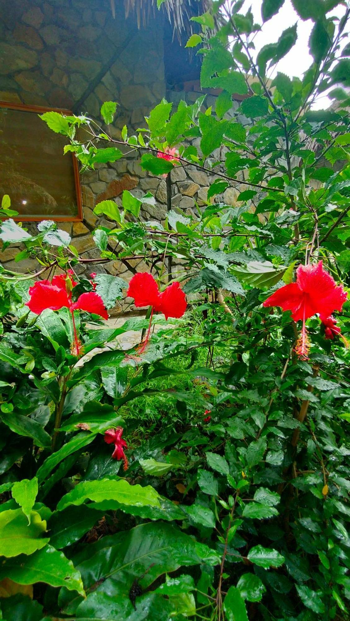 Hang Mua Eco Garden Xuan Son 外观 照片