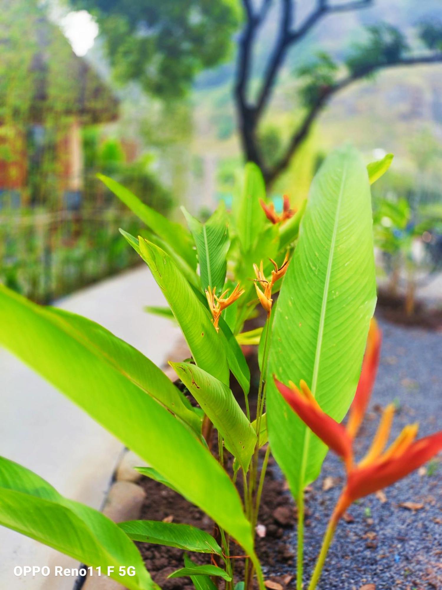 Hang Mua Eco Garden Xuan Son 外观 照片