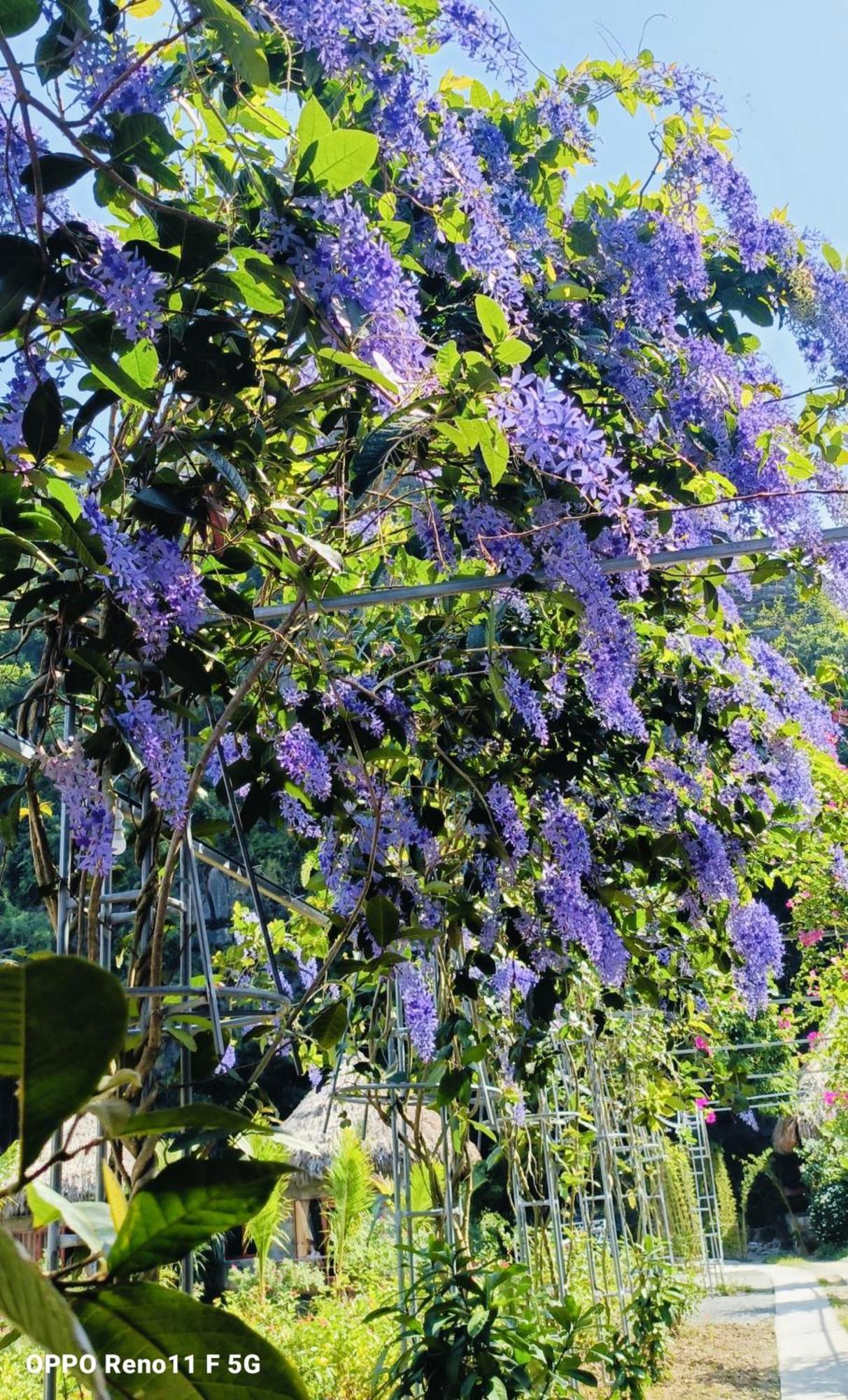 Hang Mua Eco Garden Xuan Son 外观 照片