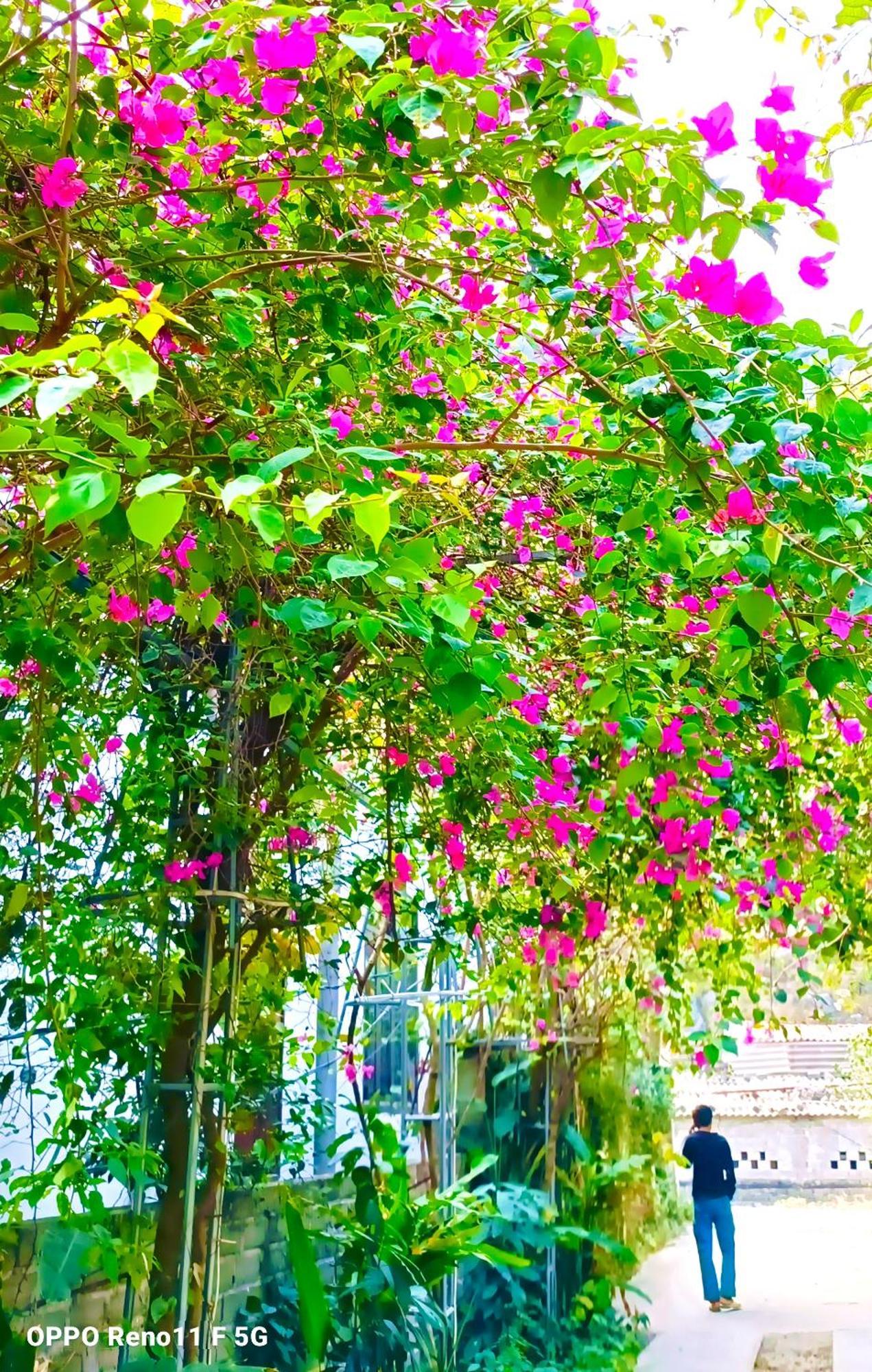 Hang Mua Eco Garden Xuan Son 外观 照片